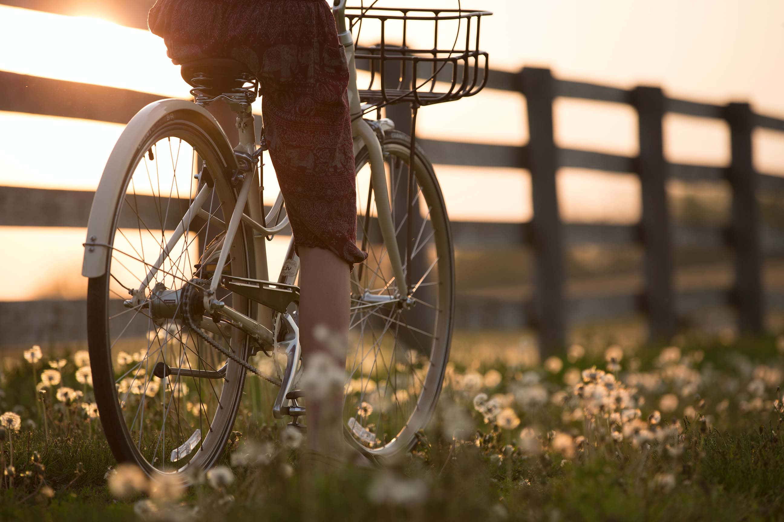 bicycle